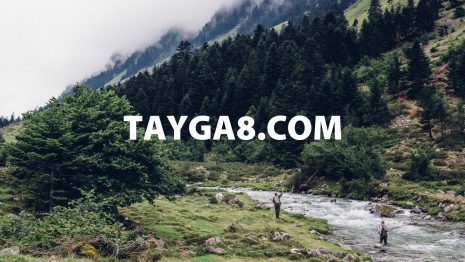 tayga8.com